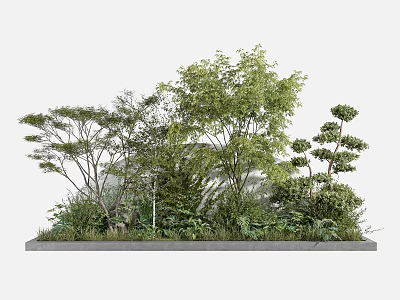 Lush Diverse Green Plants With Various Trees Shrubs And Herbs In Garden Landscape 3d model