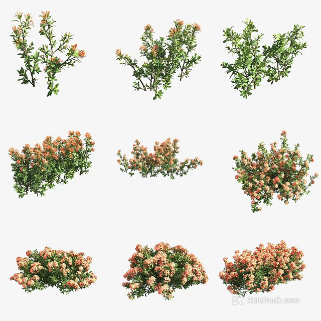 Various Garden Shrubs with Colorful Flowers and Lush Green Foliage for Landscaping 3d model 