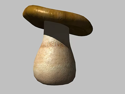 Mushrooms 3d model