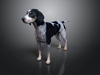 Black And White Spotted Dog Standing On Dark Surface With Reflection 3d model