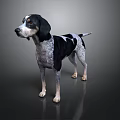 Black And White Spotted Dog Standing On Dark Surface With Reflection 3d model