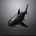 Detailed Realistic Shark With White Stripes On Dark Background 3D Render