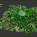 Artistic Pile of Colorful Mixed Vegetables with Mushroom and Green Leaves on Dark Background