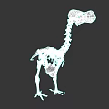 White Dinosaur Skeleton 3D Rendering With Anatomical Structure On Black Background 3d model