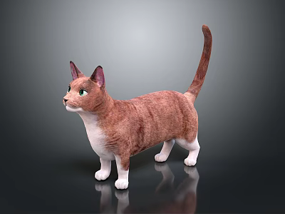Brown And White Cat With Green Eyes Standing On Shiny Surface And Gray Background 3d model