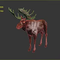 Moose With Large Pink Antlers And Brown White Fur Standing On Gray Background