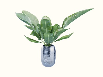 modern potted plant green plant potted plant model