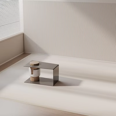 Modern Minimalist Side Table With Metal Frame Glass Tabletop And Decorative Storage Box 3d model