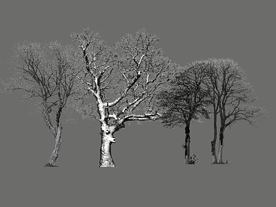 Garden Ornaments Featuring Various Shaped Trees With Black And White Sketch Style Trunks And Branches 3d model