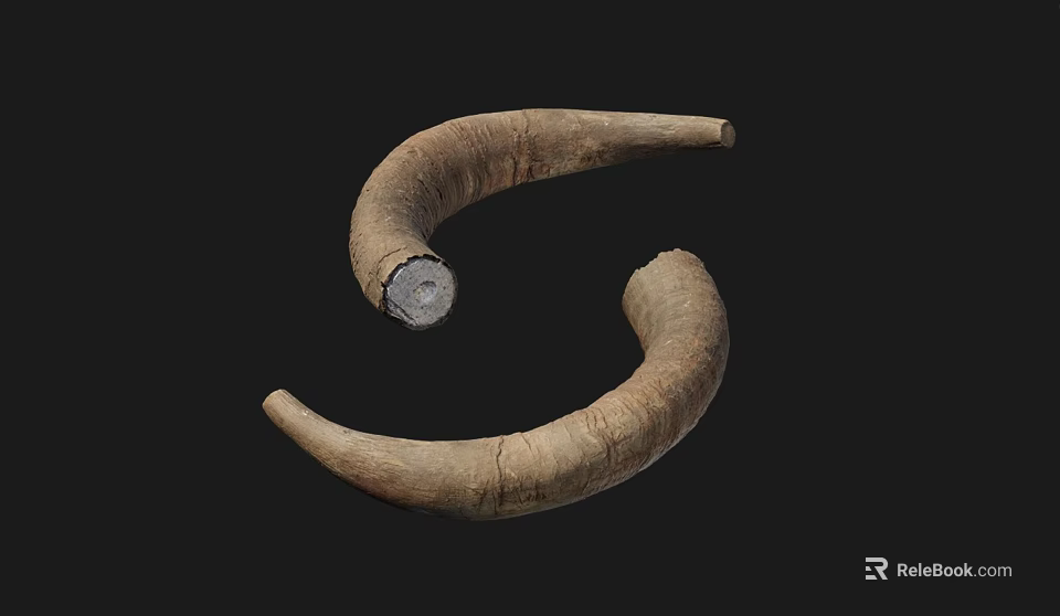 Rustic Garden Decorative Horn Ornaments With Curved Shape And Natural Texture 3d model 