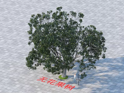 Fig Tree With Lush Green Foliage Growing On Paved Outdoor Ground 3d model