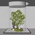 Modern Indoor Garden Decor With Small Tree Pebbles Moss And Round Elements Under Overhead Light 3d model