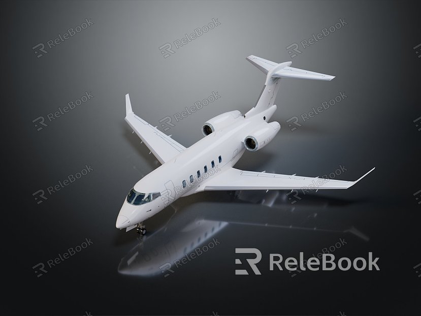 modern aircraft commercial aircraft civil aviation model