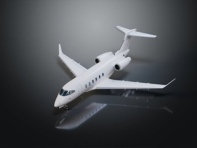 modern aircraft commercial aircraft civil aviation 3d model