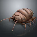 Pill Bug Shaped Children's Toy For Household Daily Play And Entertainment