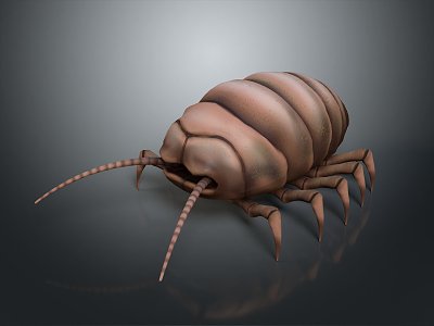 Caterpillar Butterfly Larvae Caterpillar Cartoon Caterpillar Insects Impersonate Life Supplies 3d model