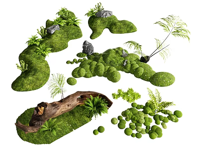 Micro Landform Design With Green Moss Small Stones Ferns And Wooden Logs 3d model
