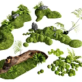 Micro Landform Design With Green Moss Small Stones Ferns And Wooden Logs