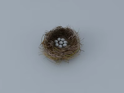Small Natural Bird Nest Containing White Eggs On Light Gray Surface 3d model