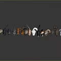 Various Colored Cat Breeds Standing Side By Side On Gray Background With Floor Reflections
