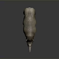 Realistic Rhinoceros 3D Model With Single Horn And Grayish Brown Skin Standing Pose