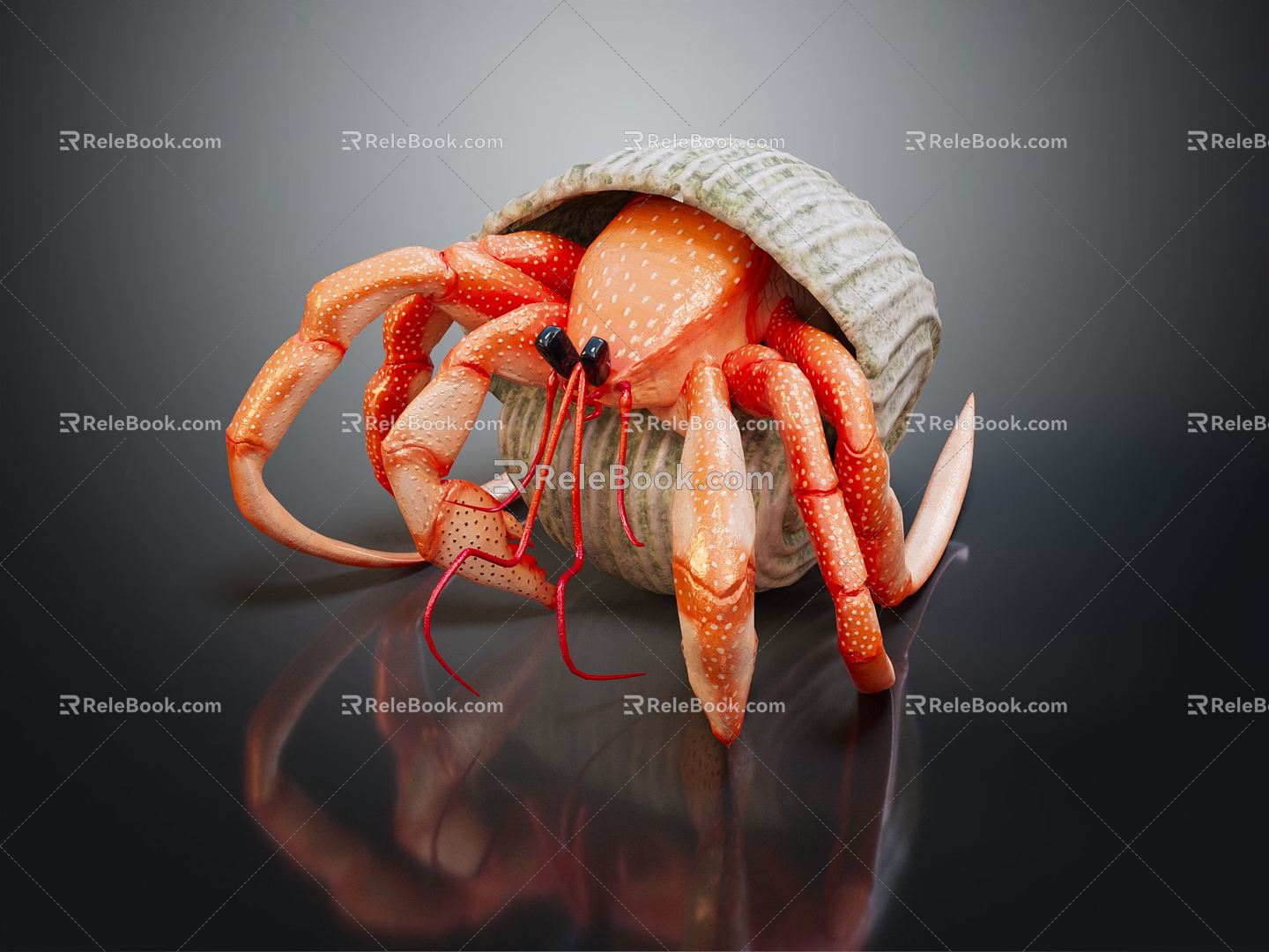 Modern Crab Sea Crab 3d model