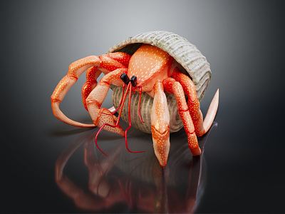 Modern Crab Sea Crab 3d model