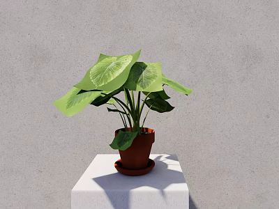 Potted Plant With Large Green Leaves In Brown Pot On White Pedestal Against Gray Wall 3d model