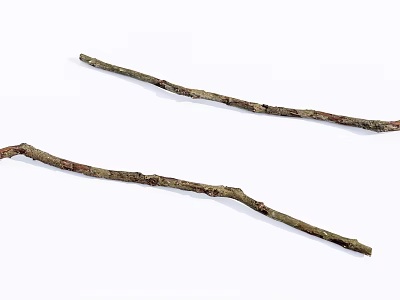 Two Natural Stone Wood Branches With Rough Surface And Dry Texture 3d model