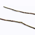 Two Natural Stone Wood Branches With Rough Surface And Dry Texture