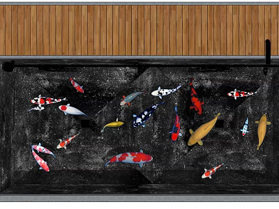 Black Fish Tank with Many Koi Fish Swimming Under Wooden Ceiling 3d model