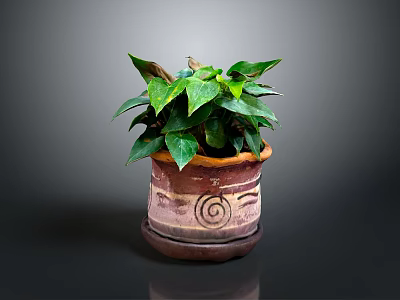 Indoor Potted Plant With Green Leaves In Ceramic Pot And Spiral Design And Saucer Base 3d model