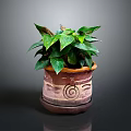 Indoor Potted Plant With Green Leaves In Ceramic Pot And Spiral Design And Saucer Base