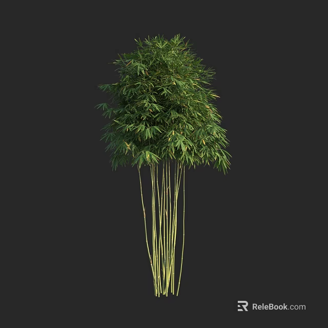 Healthy Lush Green Bamboo Plant With Multiple Tall Stems And Fresh Leaves 3d model 