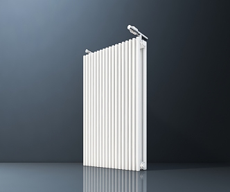 Radiators 3d model