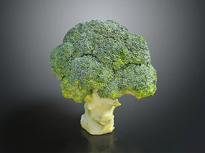 Fresh Green Organic Broccoli Vegetable with Vibrant Florets and Crisp Stem for Healthy Diet 3d model
