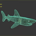 Wooden Mahogany Shark Model With Golden Stripes Yellow Eyes On Black Reflective Background