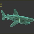 Shark cartoon shark great white shark whale shark hammerhead shark tiger shark man-eating shark blue shark freshwater fish 3d model