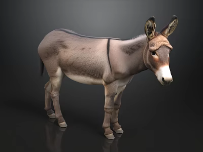 Realistic Donkey Model Standing On Dark Background With Detailed Features 3d model