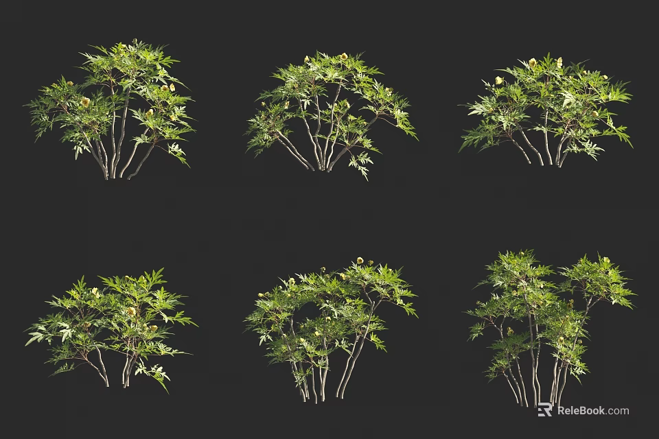 Multiple Green Leafy Plants With Thin Branches And Lush Foliage On Black Background 3d model 