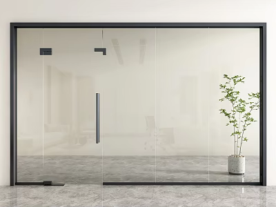Modern Glass Sliding Door Interior Design With Black Frame And Green Potted Plant 3d model