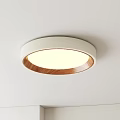 Modern minimalist ceiling lamp 3d model