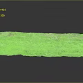 Wood Stone With Layered Structure Green Moss And Reflection On Black Smooth Surface 3d model