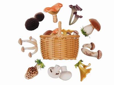 Various Mushrooms Around Wicker Basket Illustration 3d model