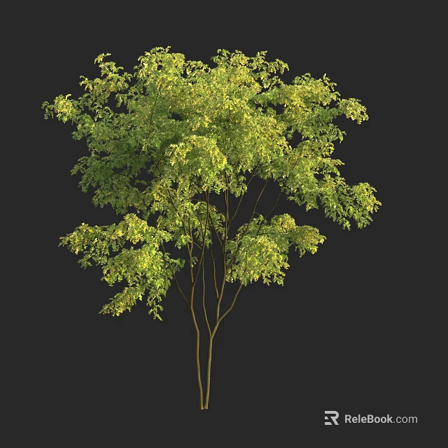 Lush Arbor With Green Leaves And Brown Trunk In Natural Form Isolated On Dark Background 3d model 