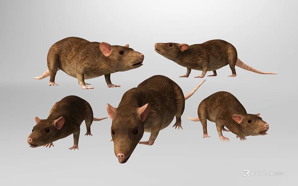 Various Reptile Animals In Different Postures On Light Gray Background 3d model 