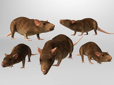 Various Reptile Animals In Different Postures On Light Gray Background 3d model