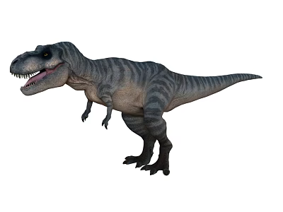 Realistic 3D Render Tyrannosaurus Rex Dinosaur Standing With Gray Stripes Open Mouth Sharp Teeth 3d model