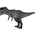 Realistic 3D Render Tyrannosaurus Rex Dinosaur Standing With Gray Stripes Open Mouth Sharp Teeth