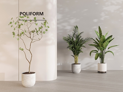 green plant potted plant combined ceramic pot plant green plant 3d model